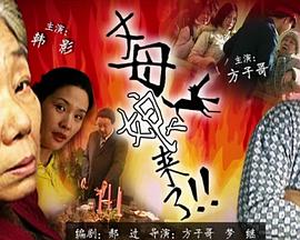 国产欧美精品一区二区三区-老狼